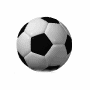 soccer_ball_rotate_sm_wm.gif